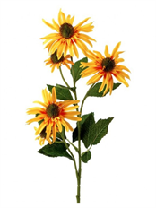 ECHINACEA X3 29" YELLOW