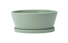 DISHGARDEN 8.5X3.75" GREEN