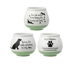 PLANTER WITTY PET 3.5" 3 AST