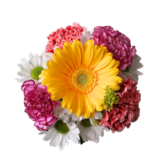 INSPIRING  BQT. PREBOOK