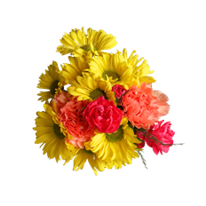 LOVING  BQT. PREBOOK