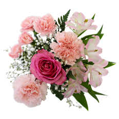 PRETTY IN PINK BQT