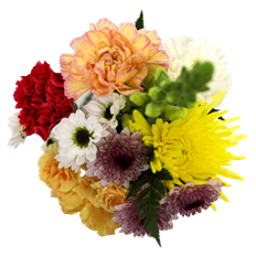 KOEHLER'S BEST BOUQUET