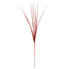 ONION GRASS 21" RED 24/PK