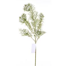 QUEEN ANNES LACE SPRAY 30" WHGR