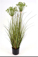 GRASS POTTED 32" ANGELICA GREEN