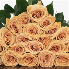 ROSE BROWN
