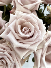 ROSE MENTA