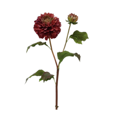 DAHLIA 20" RUST