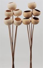 BELL CUP NATURAL 5-7/PK