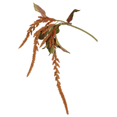 AMARANTHUS HANGING 45" BROWN