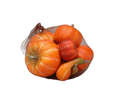 PUMPKIN/GOURD 1.15-4"D 10/B