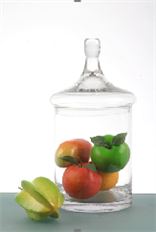 TERRARIUM 14 5/8"H 7 1/8"O CLR