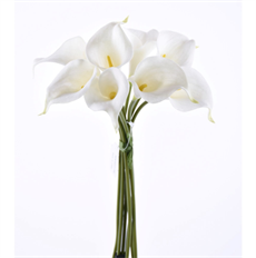 CALLA LILY STEM 12" WHITE