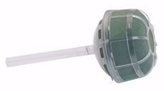 OASIS BELLE HLDR GRANDE STRGHT 6/PK