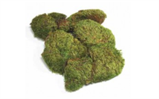 MOSS MOOD NATURAL 1.75 CU FT CS