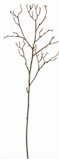 TREE MAGNOLIA TWIG BRANCH 46" GREEN