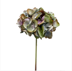 HYDRANGEA  21" LT BLUE GRN