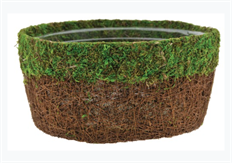 PLANTER VINE/MOSS 10" ROUND