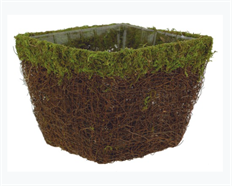 PLANTER VINE/MOSS SQUARE