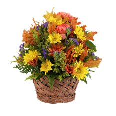 AUTUMN 6" BASKET ARRG