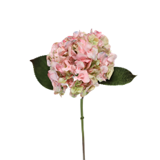 HYDRANGEA SHORT STEM 18" MAUV/GRN