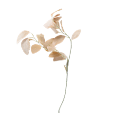 EUACLYPTUS VELVET 31" IVORY