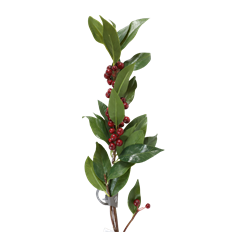 HOLLY L 29'' RED