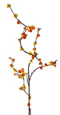 BITTERSWEET BRANCH 43"