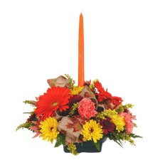 FALL TRADITIONS ARRG PREBOOK