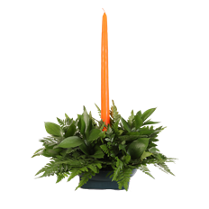 SINGLE CANDLE STARTER