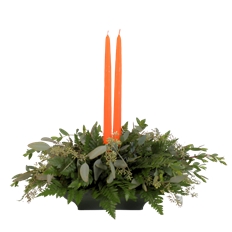 DLX 2 CANDLE STARTER PREBOOK