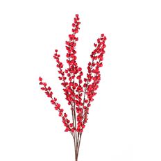 BERRY 34" RED WR