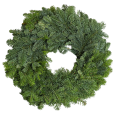 24" NOBLE FIR WREATH, 12" RING
