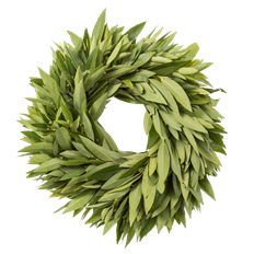 BAYLEAF 16" WREATH