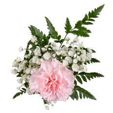 1 CARN BOUQUET