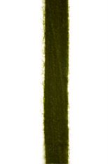 MARQUESSA #9X10YD MOSS