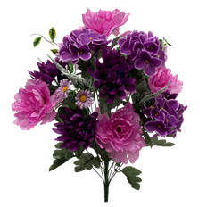 BUSH PEONY/MUM/HYD X24 25" PLUM