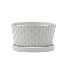 DISHGARDEN W/ SAUCER WAVY 4X6.5"