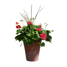 13" GERANIUM W/ SPIKE PLANTER (PB)