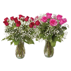 1 DOZEN 50/50 ROSES ARR PREBOOK