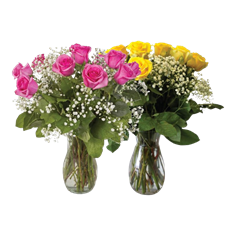 DOZEN COLOR ROSE ARR. PREBOOK