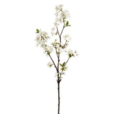 CHERRY BLOSSOM SPRAY 36" CREAM