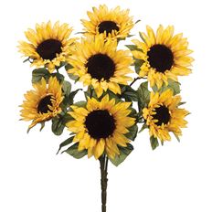 SUNFLOWER BUSH X7 24" YELLOW