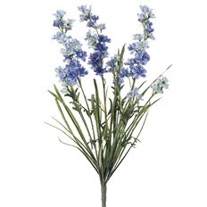 DELPHINIUM BUSH X 3 24.5" BLUE