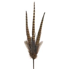 PHEASANT FEATHER SPRAY 27" NATURAL