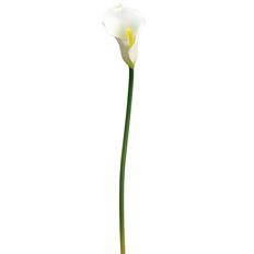 CALLA LILY REAL TOUCH 23" WHITE