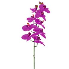 PHALAENOPSIS ORCHID SPRAY 36"