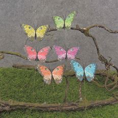 BUTTERFLY 3.5" SPIRAL ON WIRE 12/PK