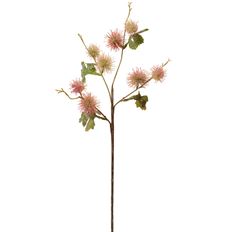 GLOBE THISTLE SPRAY 22.5" PINK